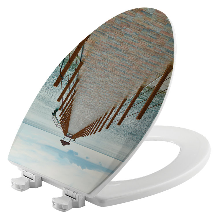 House & Homebody Co. Elongated Toilet Seat and Lid & Reviews Wayfair